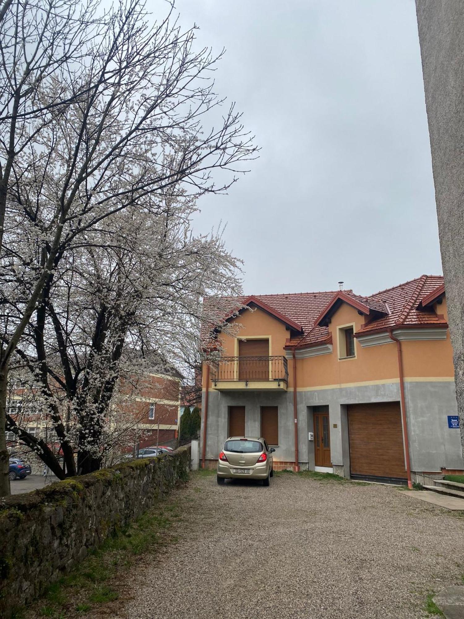 אוגולין Apartman Galerija מראה חיצוני תמונה
