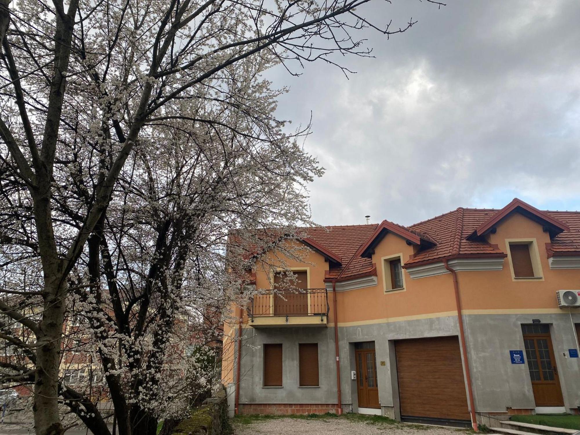 אוגולין Apartman Galerija מראה חיצוני תמונה